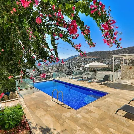 3 Bedroom - 1173 Villa